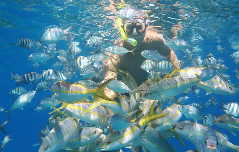 Sosua Snorkeling